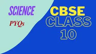CBSE Class 10 Science | 2024 PYQ Solved | Ace Your Exams with Priya's Mastery Hub