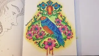 Bird | Part 2/2 | Seasons (Tidevarv) by Hanna Karlzon