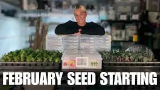SEED STARTING | February 2026 (Tomatoes & Peppers) New and Favorite Varieties!!