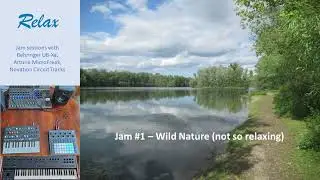 Relax #1 - Wild Nature (Behringer UB-Xa, Arturia MicroFreak, Novation Circuit Tracks)