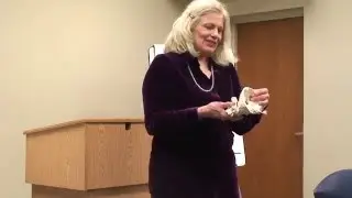 Madison Lyme Support Group Chiropractic Talk- Part 3/3