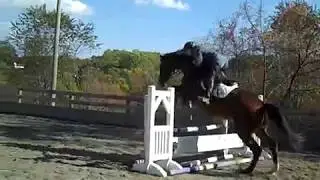 Solstice Knight