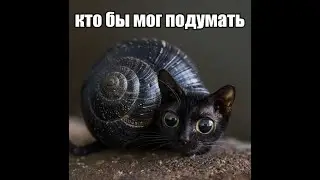Побеждаю мунлорда каждый день, пока не выйдет террария 1.4.5 (день 688)