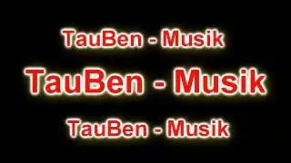 Metin2 l J Mal - PartyHolics (Electro Banger) l TaubBe21 l 2011 l Neu
