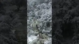 Lake Glendale MTB Ice Storm 2025