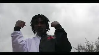 TDOG  NEVER FOLD OFFICIAL VIDEO