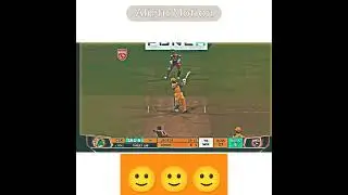 MSD X MONEY RAIN