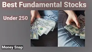 Best fundamental stock best stock under 500 under stock 500 ncc fundamental ncc limited fundamental