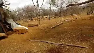 como fazer um puleirinho de pintinhos super f&aacute;cil...