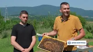 Složno, uspešno! ep. 174 18.07.2023. Proizvodnja matica i rojeva, Blace