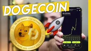 Как купить Dogecoin (легко для новичков)