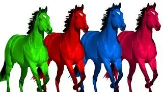 colores colorido caballo dedo familia | aprender familia de dedo de caballo de color para ni&ntilde;os