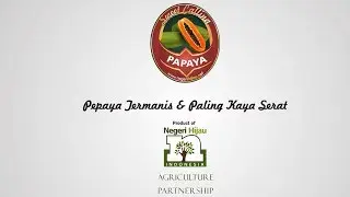 Skema Kemitraan Produksi Pepaya Callina - Sweet Callina. PT Negeri Hijau Indonesia