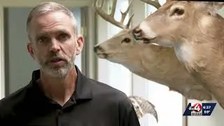 WVDNR conducting deer surveys