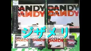 the jesus and mary chain PSYCHO CANDY ジザメリ