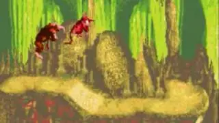 Donkey Kong Country Level 6-2 Manic Mincers