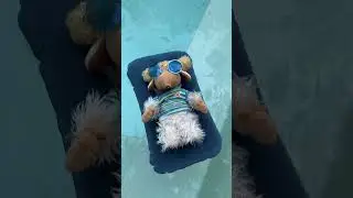 When the burrow gets cold I like to imagine I'm floating in a pool on a lovely warm day ☀️