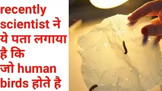 1m fact guide human bird #trending #shorts