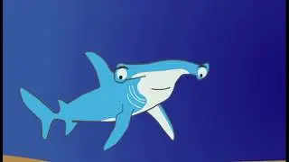 SHAWN THE SHARK SAYS IT LIKE IT IS