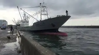 銚子漁港　第二　第三十一 御獄丸の着岸