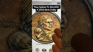 $66,000 For This Sacagawea Dollar - Super Valuable Mule With A Quarter!!