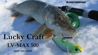 Ловля на ратлин со льда  Щука на LV-MAX 500 от Lucky Craft
