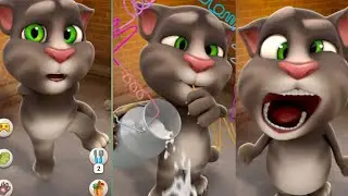Talking Ginger 🐱 | Stress-Free Comedy Break 🫶🪄