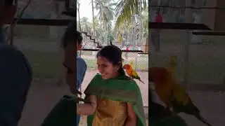 PN Farm Customer Enjoying Mini Bird Aviary on 14.01.22