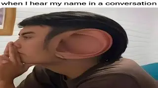 POV memes to watch before bed