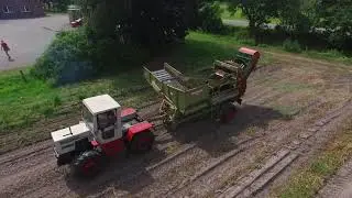 MB-Trac Power in der Kartoffelernte/Bergmann/Norddeutschland