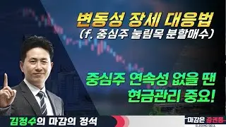 폭락·폭등장, 지수 말고 '이것'에 집중!  #변동성 #중심주 #현금관리 #김정수