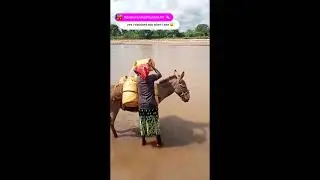 FETCHING WATER WITH MY DONKEY; DESERT VILLAGE LIFE MY RICH PEOPLE DOESN'T ADMIRE OR RELATE