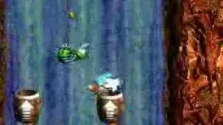 DKC3 100% Cotton-Top Cove P1