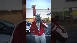 leak footage of John pork death #roadto100subs #trending #memes #johnpork
