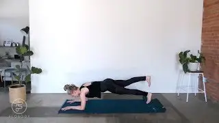 Flobody Plank Challenge with Roller (5 Minutes)