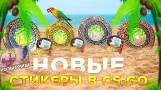 ОБНОВЛЕНИЕ IEM RIO 2022 | РОЗЫГРЫШ 3 VIEWER PASS
