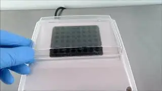 Thermo Digital Cooling Drybath