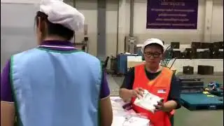 Plastic spoon injection molding and auto packing system