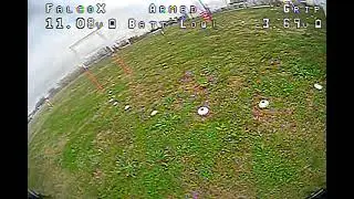 Sela Series 1/24/2021 - Diatone 339 3s falcox raw dvr