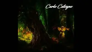 CARLO CATOGNO - LI' PER LI' - 2015