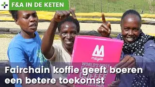 Moyee Coffee: een eerlijke koffieketen, 100% transparant