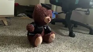 Teddy meets chicken nugget toby&hellip;&hellip;&hellip;&hellip;&hellip;.