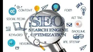 MT Web Sol - Best SEO Service Provider