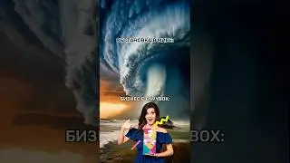 С Envybox можно быть спокойным за свой бизнес