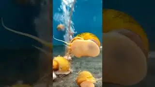 ആരും പറ്റിക്കപെടരുത്....