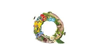 Q