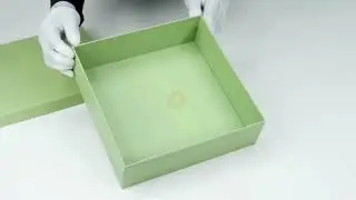 Solid Green Top & Bottom Boxes: A Sophisticated Choice for Any Product #giftbox #diy #hampers