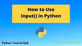 How to Use Input() in Python | Python Tutorial Ep8