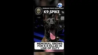 Memorial grows for Burbank police dog shot, killed in line of duty