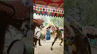 Tiger dance in my village #dance#tradition#Sahanth all in one